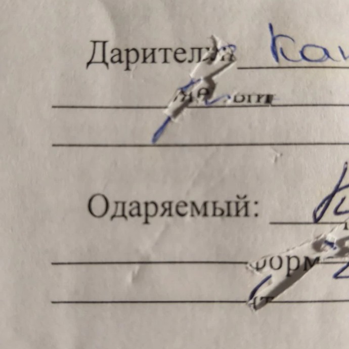 Фотографии